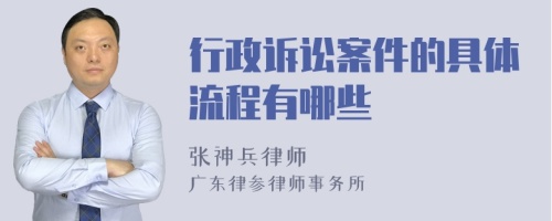 行政诉讼案件的具体流程有哪些