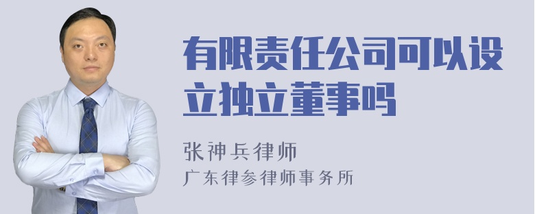 有限责任公司可以设立独立董事吗