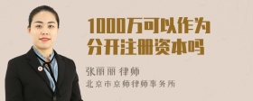 1000万可以作为分开注册资本吗