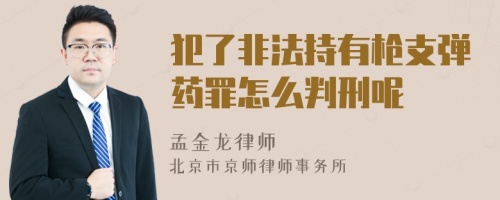 犯了非法持有枪支弹药罪怎么判刑呢