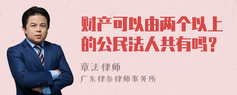 财产可以由两个以上的公民法人共有吗？