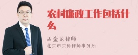 农村廉政工作包括什么