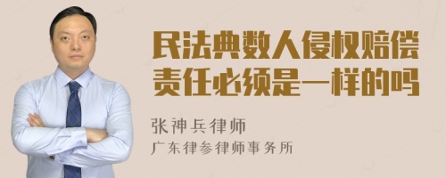 民法典数人侵权赔偿责任必须是一样的吗