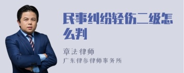 民事纠纷轻伤二级怎么判