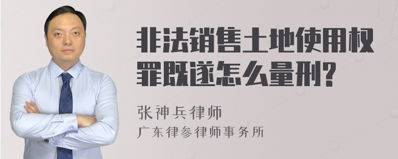 非法销售土地使用权罪既遂怎么量刑?