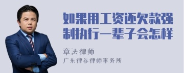 如果用工资还欠款强制执行一辈子会怎样