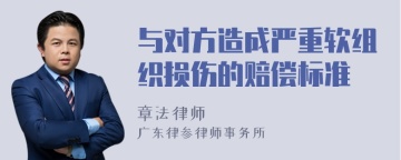 与对方造成严重软组织损伤的赔偿标准