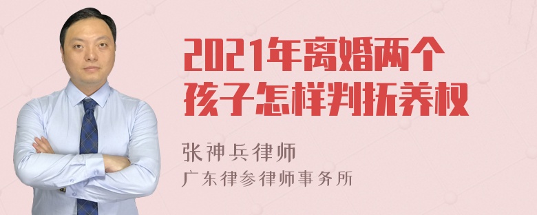 2021年离婚两个孩子怎样判抚养权