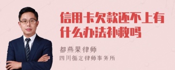 信用卡欠款还不上有什么办法补救吗