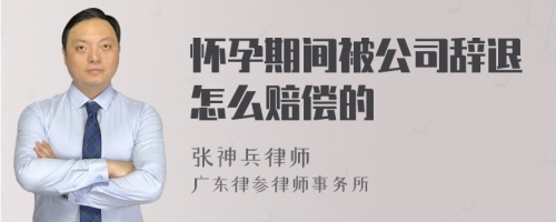 怀孕期间被公司辞退怎么赔偿的