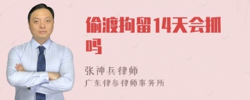 偷渡拘留14天会抓吗