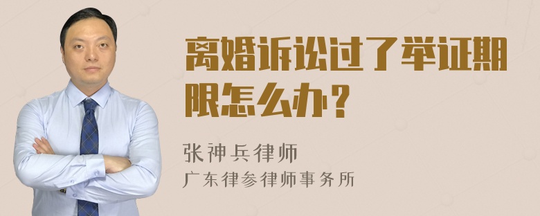 离婚诉讼过了举证期限怎么办？