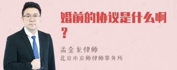 婚前的协议是什么啊？