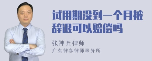 试用期没到一个月被辞退可以赔偿吗