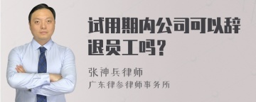 试用期内公司可以辞退员工吗？