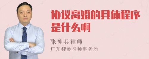 协议离婚的具体程序是什么啊