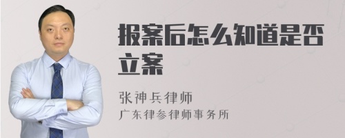 报案后怎么知道是否立案