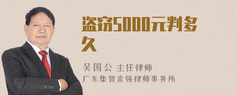 盗窃5000元判多久