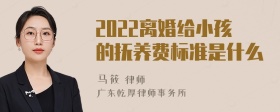 2022离婚给小孩的抚养费标准是什么