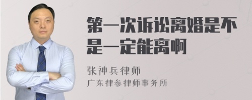 第一次诉讼离婚是不是一定能离啊