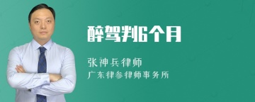 醉驾判6个月