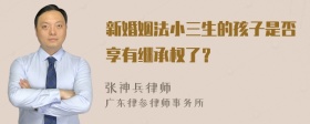 新婚姻法小三生的孩子是否享有继承权了？