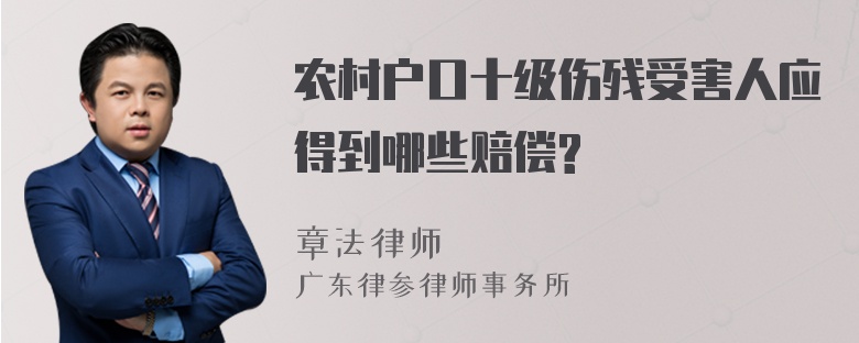 农村户口十级伤残受害人应得到哪些赔偿?