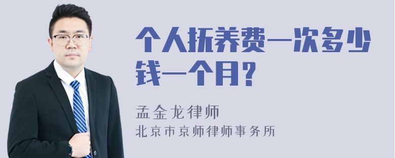 个人抚养费一次多少钱一个月？