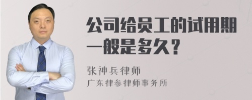 公司给员工的试用期一般是多久？