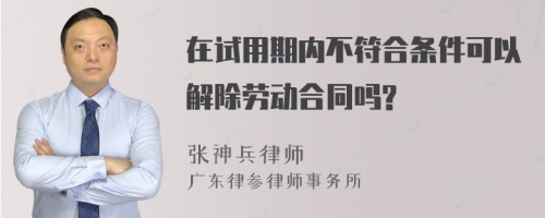 在试用期内不符合条件可以解除劳动合同吗?