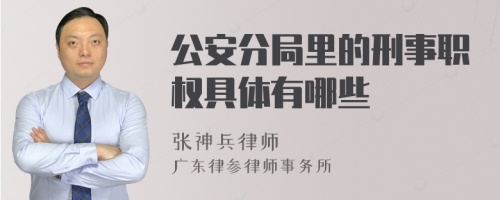 公安分局里的刑事职权具体有哪些