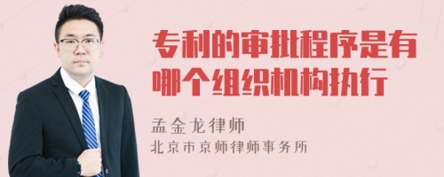 专利的审批程序是有哪个组织机构执行