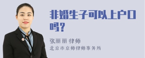 非婚生子可以上户口吗？