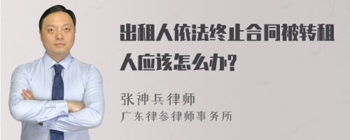 出租人依法终止合同被转租人应该怎么办?