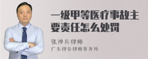 一级甲等医疗事故主要责任怎么处罚