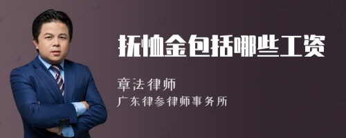 抚恤金包括哪些工资