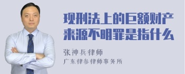 现刑法上的巨额财产来源不明罪是指什么