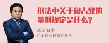 刑法中关于侵占罪的量刑规定是什么?