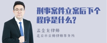 刑事案件立案后下个程序是什么?