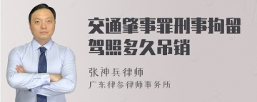 交通肇事罪刑事拘留驾照多久吊销