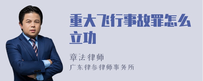 重大飞行事故罪怎么立功