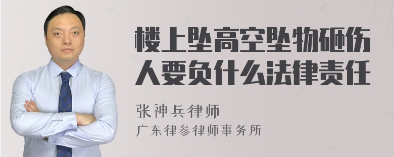 楼上坠高空坠物砸伤人要负什么法律责任