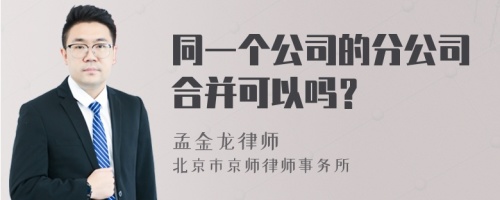 同一个公司的分公司合并可以吗？