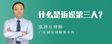 什么是诉讼第三人？