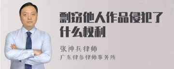 剽窃他人作品侵犯了什么权利