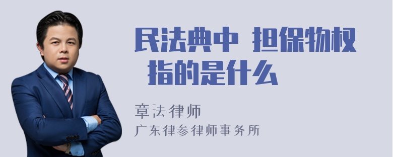 民法典中 担保物权 指的是什么