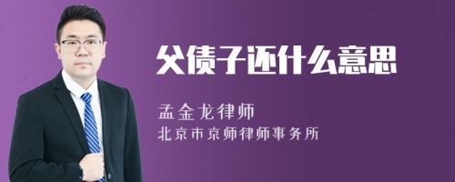 父债子还什么意思