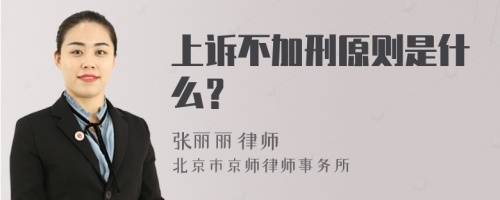 上诉不加刑原则是什么？