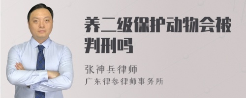 养二级保护动物会被判刑吗