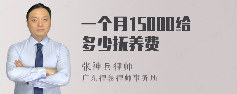 一个月15000给多少抚养费